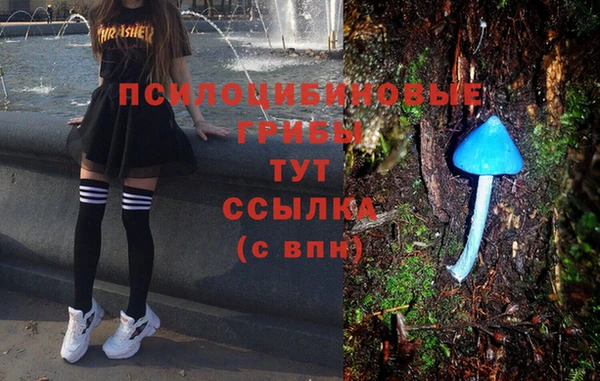 спайс Елабуга