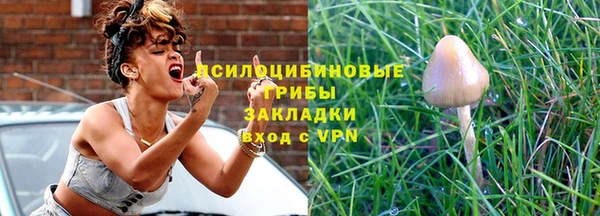 бошки Елизово