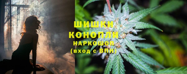 бошки Елизово